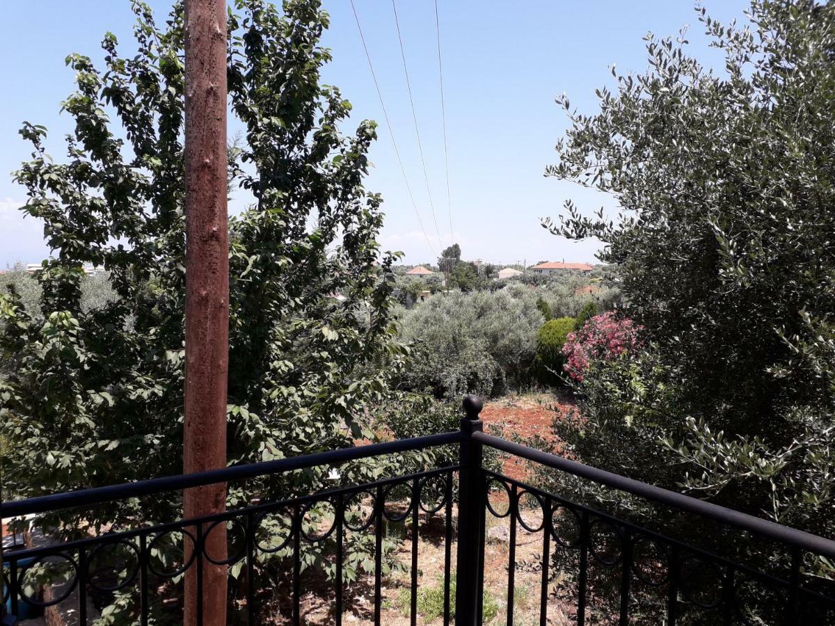 Monika Lefkada Ξενοδοχείο Τσουκαλάδες Εξωτερικό φωτογραφία